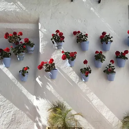 Διαμέρισμα Estudio Vallesol - *