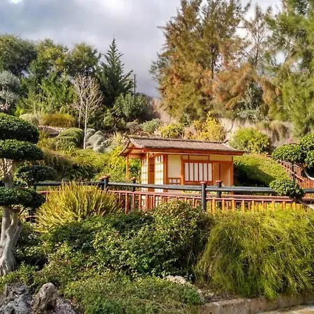 Estudio Vallesol - Διαμέρισμα Τορρεμολίνος